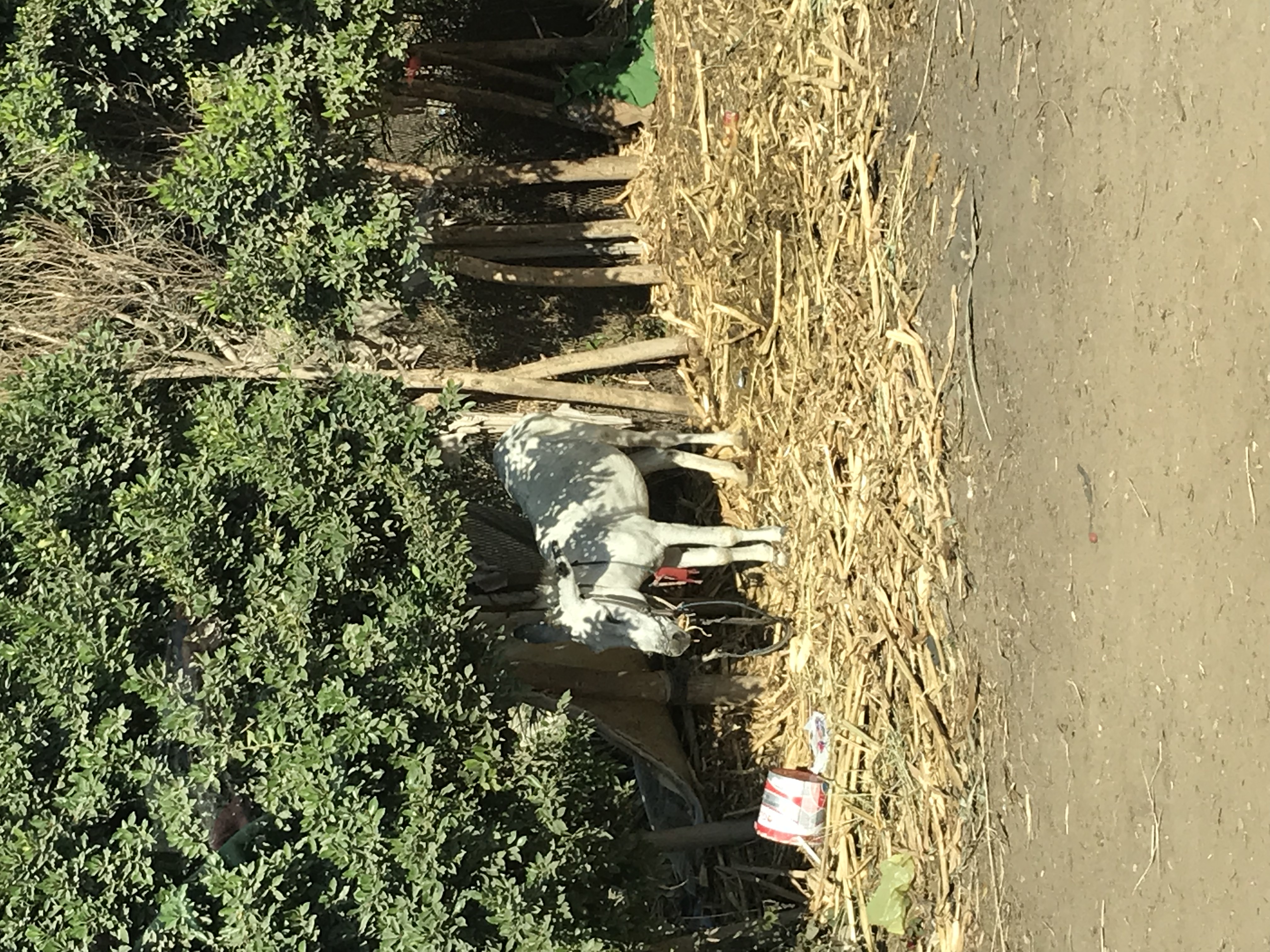 ./2018/16 - Egypt/03 - Pyramids/IMG_0670.jpg